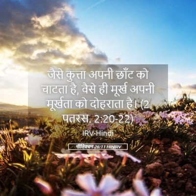 Picture 05 - नीतिवचन 26:11 HINIRV - जैसे कुत्ता अपनी - Bible Verse Picture