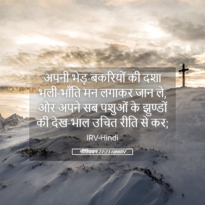 Picture 05 - नीतिवचन 27:23 HINIRV - अपनी भेड़-बकरियों - Bible Verse Picture