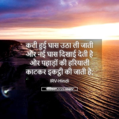 Picture 05 - नीतिवचन 27:25 HINIRV - कटी हुई घास उठा ली - Bible Verse Picture