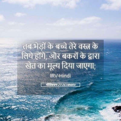 Picture 05 - नीतिवचन 27:26 HINIRV - तब भेड़ों के बच्चे - Bible Verse Picture