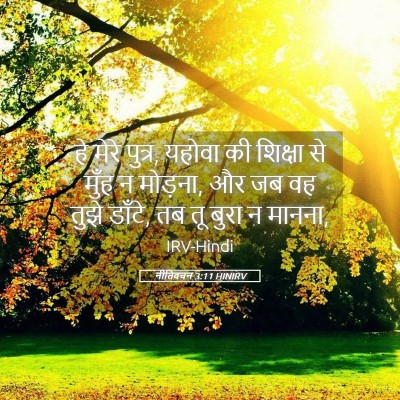 Picture 05 - नीतिवचन 3:11 HINIRV - हे मेरे पुत्र, - Bible Verse Picture