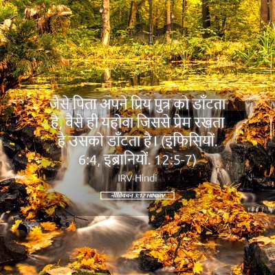 Picture 05 - नीतिवचन 3:12 HINIRV - जैसे पिता अपने - Bible Verse Picture