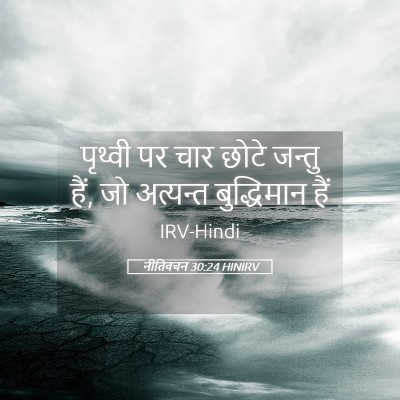 Picture 05 - नीतिवचन 30:24 HINIRV - पृथ्वी पर चार छोटे - Bible Verse Picture