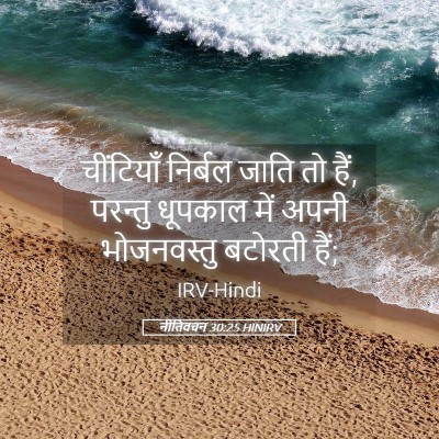 Picture 05 - नीतिवचन 30:25 HINIRV - चींटियाँ निर्बल - Bible Verse Picture