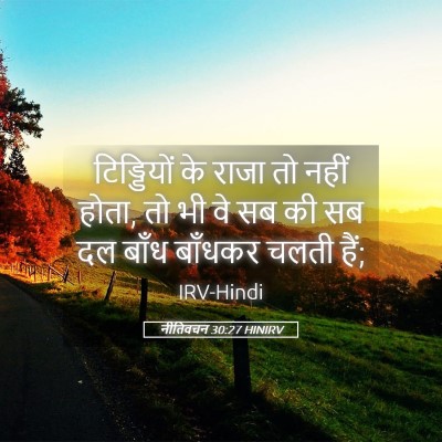 Picture 05 - नीतिवचन 30:27 HINIRV - टिड्डियों के राजा - Bible Verse Picture