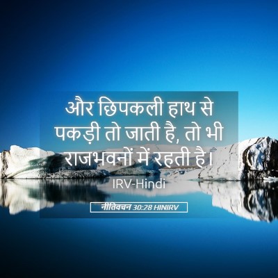 Picture 05 - नीतिवचन 30:28 HINIRV - और छिपकली हाथ से - Bible Verse Picture