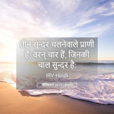 Picture 05 - नीतिवचन 30:29 HINIRV - तीन सुन्दर - Bible Verse Picture