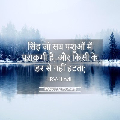 Picture 05 - नीतिवचन 30:30 HINIRV - सिंह जो सब पशुओं - Bible Verse Picture