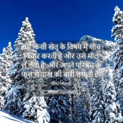 Picture 05 - नीतिवचन 31:16 HINIRV - वह किसी खेत के विषय - Bible Verse Picture