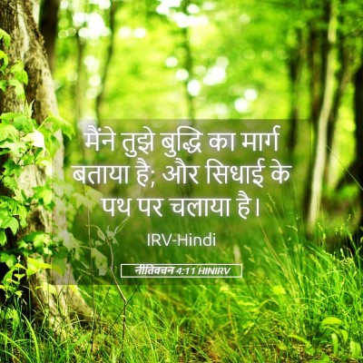 Picture 05 - नीतिवचन 4:11 HINIRV - मैंने तुझे बुद्धि - Bible Verse Picture