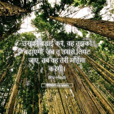 Picture 05 - नीतिवचन 4:8 HINIRV - उसकी बड़ाई कर, वह - Bible Verse Picture