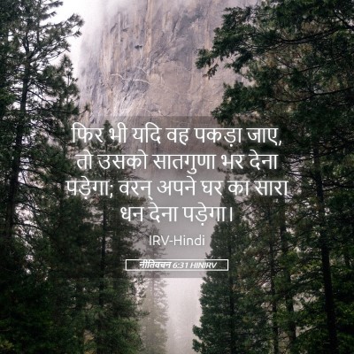 Picture 05 - नीतिवचन 6:31 HINIRV - फिर भी यदि वह पकड़ा - Bible Verse Picture