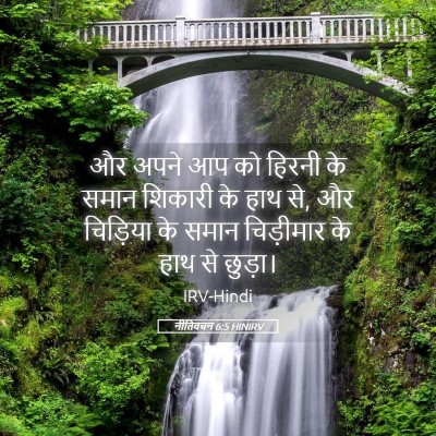 Picture 05 - नीतिवचन 6:5 HINIRV - और अपने आप को हिरनी - Bible Verse Picture