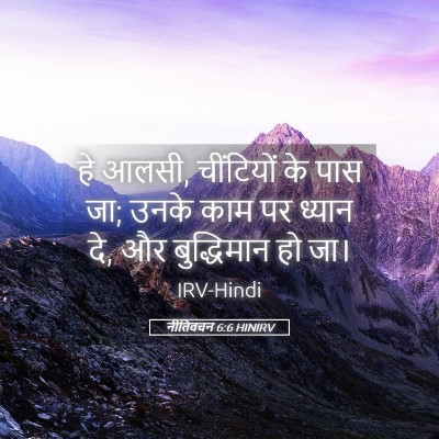 Picture 05 - नीतिवचन 6:6 HINIRV - हे आलसी, चींटियों - Bible Verse Picture
