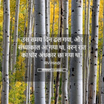 Picture 05 - नीतिवचन 7:9 HINIRV - उस समय दिन ढल गया, - Bible Verse Picture