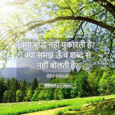 Picture 05 - नीतिवचन 8:1 HINIRV - क्या बुद्धि नहीं - Bible Verse Picture