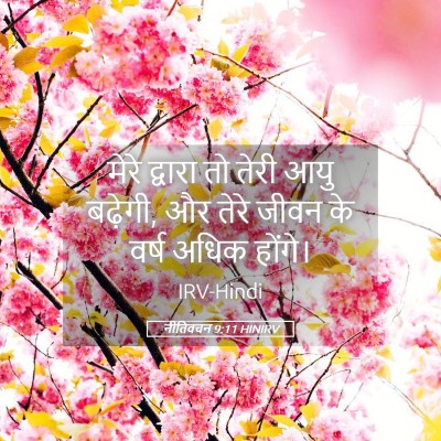 Picture 05 - नीतिवचन 9:11 HINIRV - मेरे द्वारा तो - Bible Verse Picture