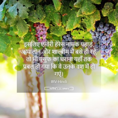 Picture 05 - न्यायियों 1:35 HINIRV - इसलिए एमोरी हेरेस - Bible Verse Picture