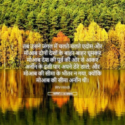 Picture 05 - न्यायियों 11:18 HINIRV - तब उसने जंगल में - Bible Verse Picture