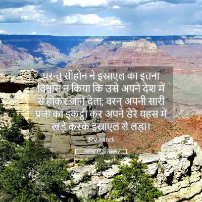 Picture 05 - न्यायियों 11:20 HINIRV - परन्तु सीहोन ने - Bible Verse Picture