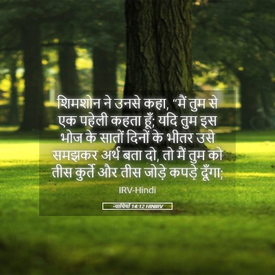 Picture 05 - न्यायियों 14:12 HINIRV - शिमशोन ने उनसे कहा, - Bible Verse Picture