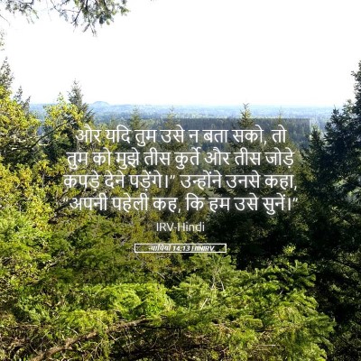 Picture 05 - न्यायियों 14:13 HINIRV - और यदि तुम उसे न - Bible Verse Picture