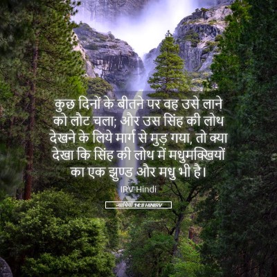 Picture 05 - न्यायियों 14:8 HINIRV - कुछ दिनों के बीतने - Bible Verse Picture