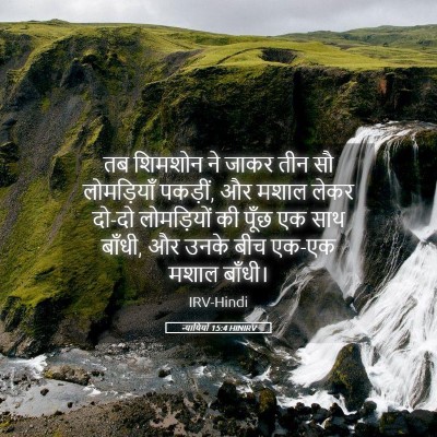 Picture 05 - न्यायियों 15:4 HINIRV - तब शिमशोन ने जाकर - Bible Verse Picture