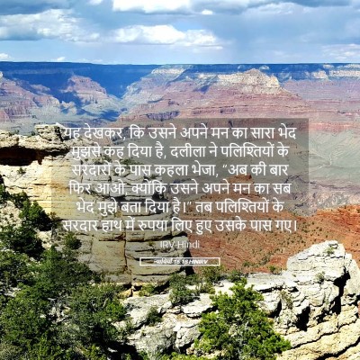 Picture 05 - न्यायियों 16:18 HINIRV - यह देखकर, कि उसने - Bible Verse Picture