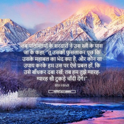 Picture 05 - न्यायियों 16:5 HINIRV - तब पलिश्तियों के - Bible Verse Picture