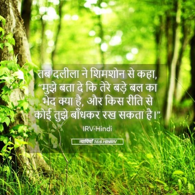 Picture 05 - न्यायियों 16:6 HINIRV - तब दलीला ने शिमशोन - Bible Verse Picture