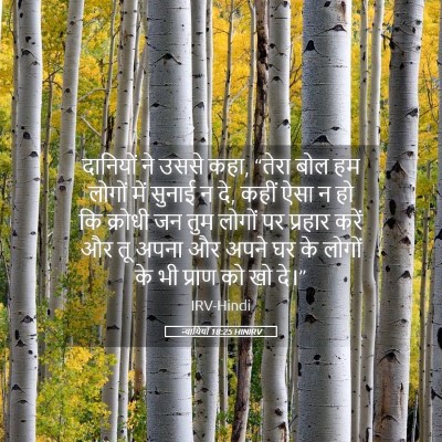 Picture 05 - न्यायियों 18:25 HINIRV - दानियों ने उससे - Bible Verse Picture