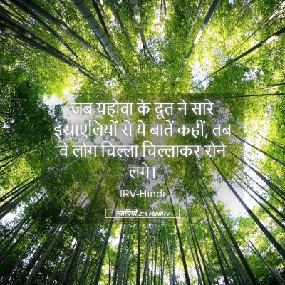Picture 05 - न्यायियों 2:4 HINIRV - जब यहोवा के दूत ने - Bible Verse Picture