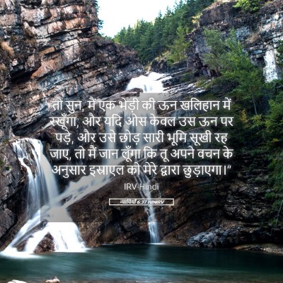 Picture 05 - न्यायियों 6:37 HINIRV - तो सुन, मैं एक - Bible Verse Picture