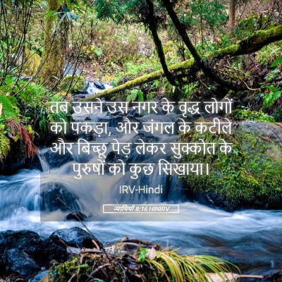 Picture 05 - न्यायियों 8:16 HINIRV - तब उसने उस नगर के - Bible Verse Picture