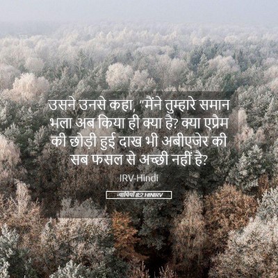 Picture 05 - न्यायियों 8:2 HINIRV - उसने उनसे कहा, - Bible Verse Picture