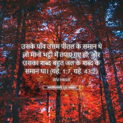 Picture 05 - प्रकाशितवाक्य 1:15 HINIRV - उसके पाँव उत्तम - Bible Verse Picture