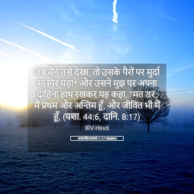 Picture 05 - प्रकाशितवाक्य 1:17 HINIRV - जब मैंने उसे देखा, - Bible Verse Picture