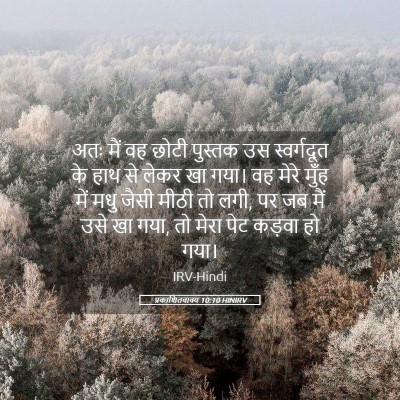 Picture 05 - प्रकाशितवाक्य 10:10 HINIRV - अतः मैं वह छोटी - Bible Verse Picture