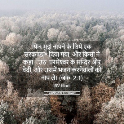 Picture 05 - प्रकाशितवाक्य 11:1 HINIRV - फिर मुझे नापने के - Bible Verse Picture