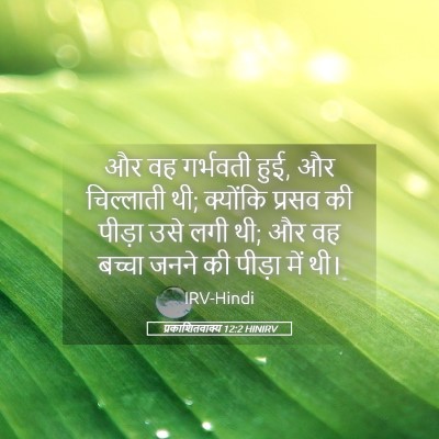 Picture 05 - प्रकाशितवाक्य 12:2 HINIRV - और वह गर्भवती हुई, - Bible Verse Picture