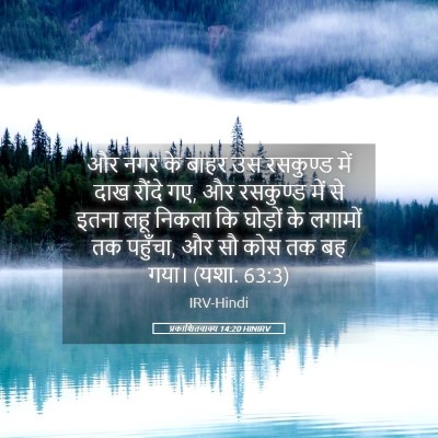 Picture 05 - प्रकाशितवाक्य 14:20 HINIRV - और नगर के बाहर उस - Bible Verse Picture