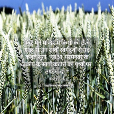 Picture 05 - प्रकाशितवाक्य 16:1 HINIRV - फिर मैंने मन्दिर - Bible Verse Picture