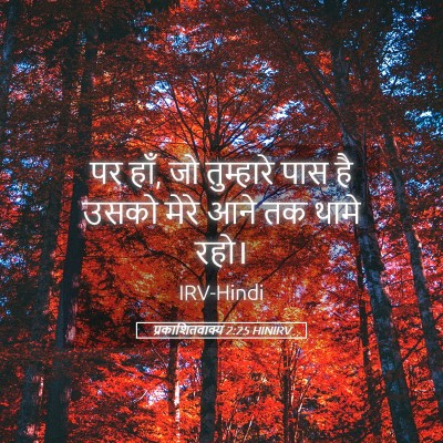 Picture 05 - प्रकाशितवाक्य 2:25 HINIRV - पर हाँ, जो तुम्हारे - Bible Verse Picture