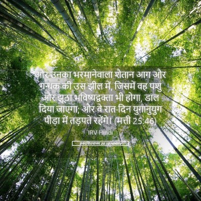 Picture 05 - प्रकाशितवाक्य 20:10 HINIRV - और उनका - Bible Verse Picture