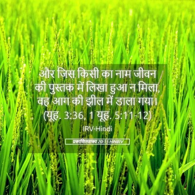 Picture 05 - प्रकाशितवाक्य 20:15 HINIRV - और जिस किसी का नाम - Bible Verse Picture