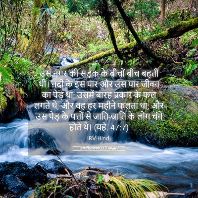 Picture 05 - प्रकाशितवाक्य 22:2 HINIRV - उस नगर की सड़क के - Bible Verse Picture