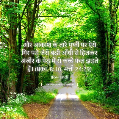 Picture 05 - प्रकाशितवाक्य 6:13 HINIRV - और आकाश के तारे - Bible Verse Picture