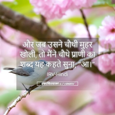 Picture 05 - प्रकाशितवाक्य 6:7 HINIRV - और जब उसने चौथी - Bible Verse Picture