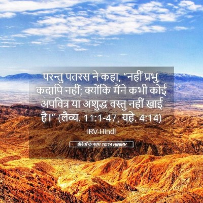 Picture 05 - प्रेरितों के काम 10:14 HINIRV - परन्तु पतरस ने कहा, - Bible Verse Picture